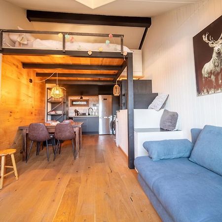 Le Cerf - Duplex Avec Superbe Vue Montagne Apartment Les Angles  Exterior foto
